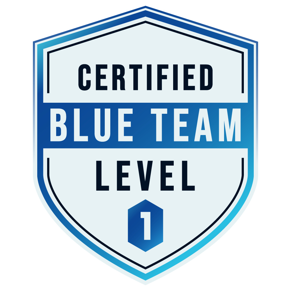 SOC / Blue Team Fundamentals logo